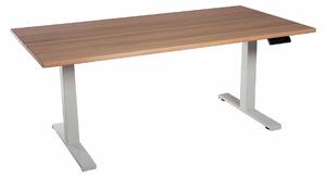 Scrivania da ufficio regolabile in altezza piano bianco in legno massiccio di faggio 160x80cm