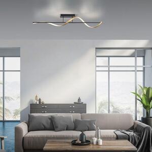Paul Neuhaus Q - Design Smart Plafoniera I Lampada da soffitto I Lampada I Luce Grigio Scuro con Oro I Ottone incl. LED dimmerabile in Kelvin - Marianne Dimmer I Dimmerabile I Soggiorno I Camera da letto - Alumini