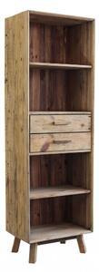 Libreria Collin 60x40x190 h cm in Pino riciclato Marrone