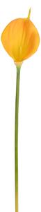 Set 12 Calla Artificiale Singola Altezza 72 cm Giallo