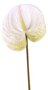 Set 6 Fiori Artificiali di Anthurium Altezza 70 cm Verde