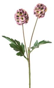 Set 6 Rami Artificiali di Scabiosa Stellata con Fiori Artificiali Altezza 58 cm Rosa