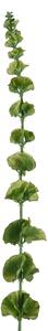 Set 3 Fiori Artificiali di Moluccella Altezza 102 cm Verde