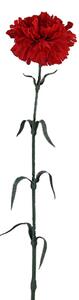 Set 12 Garofani Artificiali Singoli Altezza 63 cm Rosso