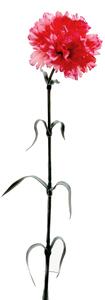 Set 12 Garofani Artificiali Singoli Altezza 63 cm Rosa