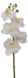 Set 6 Mini Phalaenopsis Artificiali Altezza 43 cm Bianco