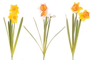 Set 4 Narciso con 2 Fiori Artificiali Altezza 48 cm Multicolore