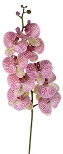 Set 2 Phalenopsis Artificiali con 9 Fiori Altezza 110 cm Viola