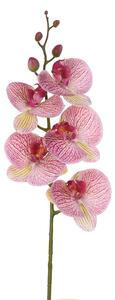 Set 3 Phalenopsis Artificiali con 5 Fiori Altezza 88 cm Viola