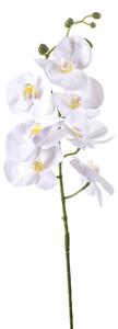 Set 6 Phalaenopsis Artificiali con 7 Fiori Altezza 96 cm Bianco