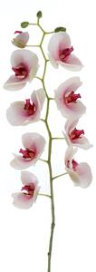 Phalaenopsis Artificiale Altezza 95 cm Bianco
