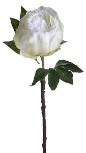 Set 6 Peonia Artificiale Altezza 48 cm Bianco
