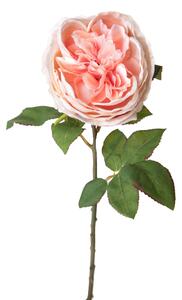 Set 6 Rose Artificiali Cabbage Altezza 49 cm Rosa
