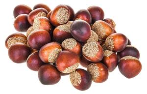 Set 144 Castagne Artificiali per Uso Ornamentale