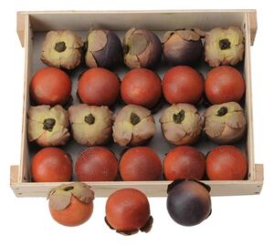Set 6 Sorbe Artificiale 20 Pezzi Larghezza 3,5 cm