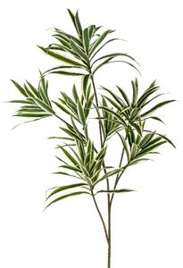 Set 3 Dracena con 141 Foglie Artificiali Altezza 84 cm Verde