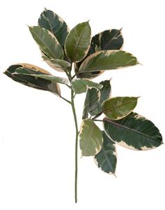 Set 4 Rubber Plant Artificiale 58 cm X 15 Foglie Verde