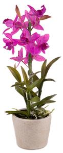 Orchidea Artificiali con Vaso Altezza 43 cm Rosa