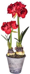 Amarillis Doppio Artificiale con Vaso Altezza 68 cm Rosso