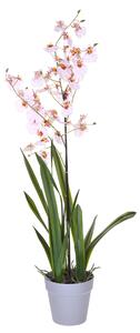 Orchidea Artificiali Oncidium con Vaso Altezza 40 cm Rosa