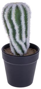 Set 4 Cactus Artificiale con Vaso Altezza 20 cm