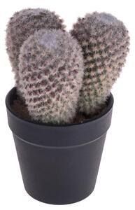 Set 3 Cactus Artificiale X 3 con Vaso Altezza 16 cm
