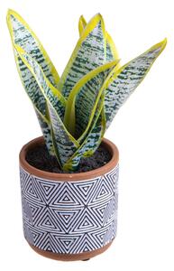 Set 4 Pianta Artificiale di Sanseveria in Vaso Altezza 23 cm Grigio