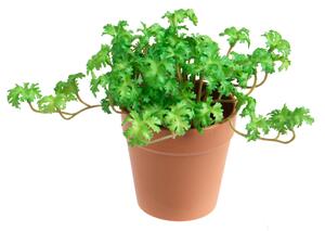 Set 3 Piante di Pelargonium Artificiale in Vaso Composta da 3 Diramazioni Altezza 16 cm Verde