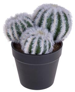 Set 4 Cactus Artificiale X 3 con Vaso Altezza 12 cm