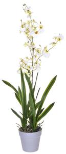 Orchidea Artificiali Oncidium con Vaso Altezza 40 cm Bianco