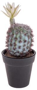 Set 6 Cactus Artificiale con Vaso Altezza 18 cm