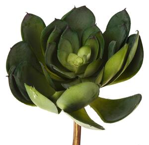 Set 3 Aoenium Cactus Artificiale Altezza 19 cm Verde