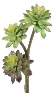 Set 2 Succulent Artificiale a 3 Diramazioni Altezza 50 cm Verde