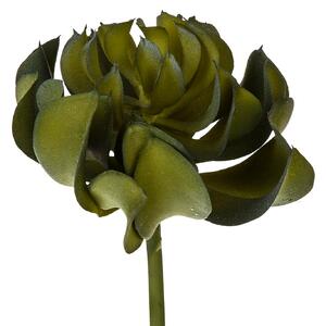 Set 6 Aoenium arboreum Artificiale Altezza 13 cm Verde