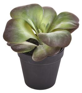 Set 2 Kalanchoe Succulent Artificiale con Vaso Altezza 16,5 cm Verde
