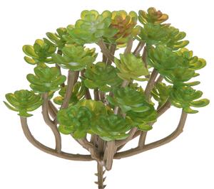 Set 9 Aoenium Succulent Artificiale Altezza 12 cm Verde