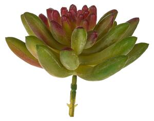 Set 6 Crassula Cactus Artificiale Altezza 9 cm Verde