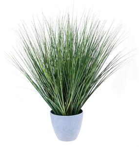 Pianta Artificiale di Beargrass in Vaso Altezza 78 cm Verde
