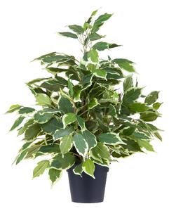 Ficus Artificiale con Vaso Altezza 55 cm Verde