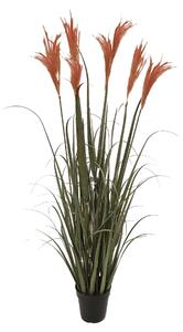 Set di 2 Cesti Frontali Larghezza 35 cm