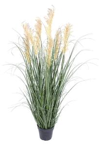 Pianta di Gymerium Artificiale con Vaso H.127 cm