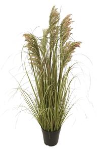 Pianta di Gymerium Artificiale con Vaso H.73 cm