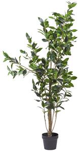 Alloro Artificiale con Vaso Altezza 150 cm Verde