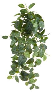 Fittonia Artificiale Cespuglio x 9 con 170 Foglie H.74 cm Verde