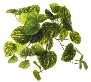 Set 3 Peperomia Artificiale a 8 Diramazioni Composta da 43 Foglie Altezza 28 cm Verde