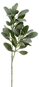 Set 4 Piante di Salvia Composta da 2 Rami Artificiali Altezza 74 cm Verde
