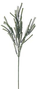 Set 12 Rami di Crassula Artificiale Altezza 76,5 cm Verde