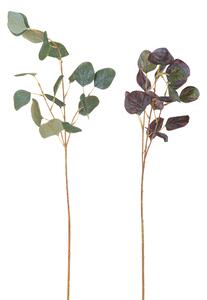 Set 8 Rami di Eucalyptus Artificiale Altezza 78 cm Multicolore