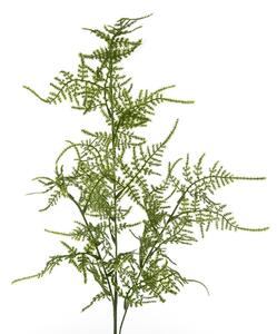 Set 6 Rami di Asparagus Artificiale Altezza 70 cm Verde