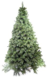 Albero di Natale Artificiale 244 cm 2096 Rami Pino Verde
